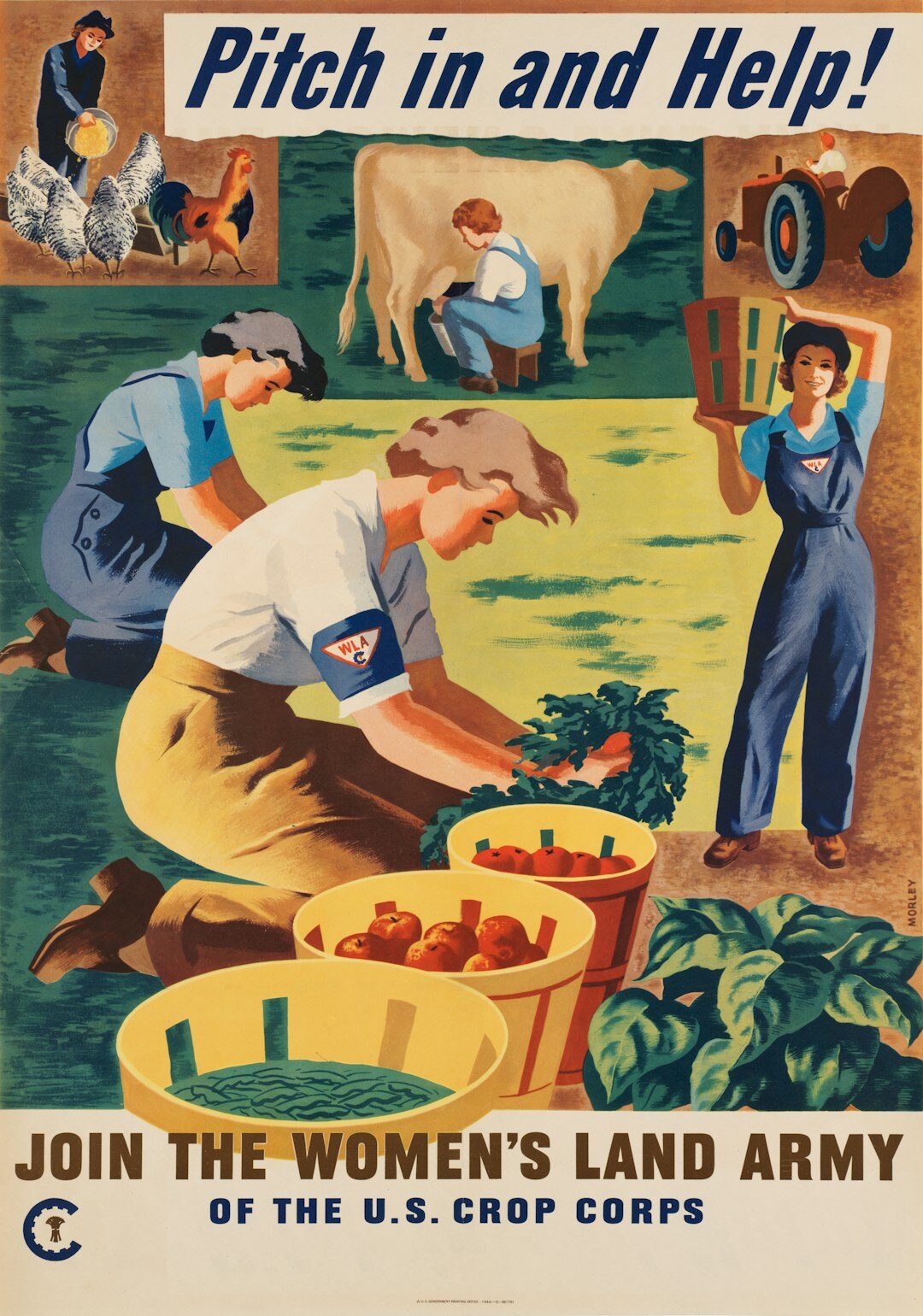 vintage advertisement poster